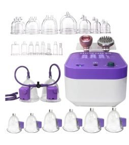 Model_ Vacuum device (2 pump)