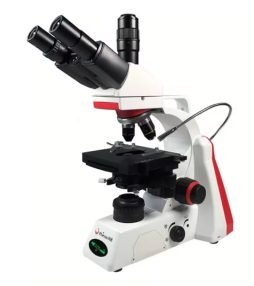 WhatsApp Image 2024-03-31 at 02.41.29 (1)