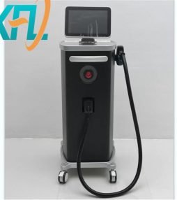 WhatsApp Image 2026-04-11 at 17.19.44