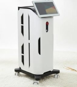 WhatsApp Image 2026-04-11 at 17.39.29